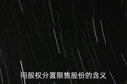 深大通大股東為什么是限售股，問股權(quán)分置限售股份的含義