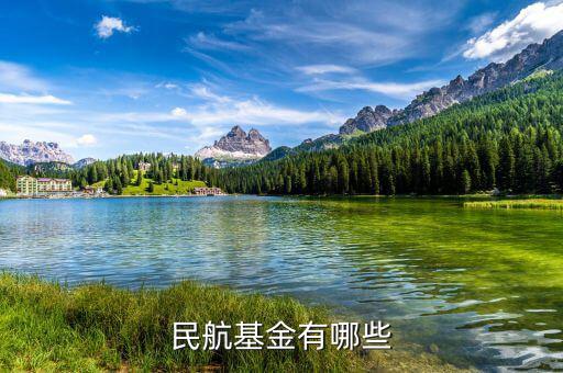 飛機(jī)票還有什么民航基金，民航基金有哪些