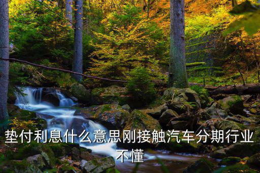 墊付利息是什么意思，紅利保險(xiǎn)會(huì)自動(dòng)墊付期間會(huì)出利息