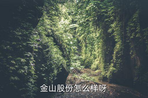 為什么沒人關(guān)注金山股份，金山股份怎么樣呀