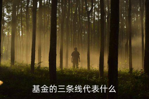基金滬深兩條線是什么意思，這基金的幾條線分別代表什么意思