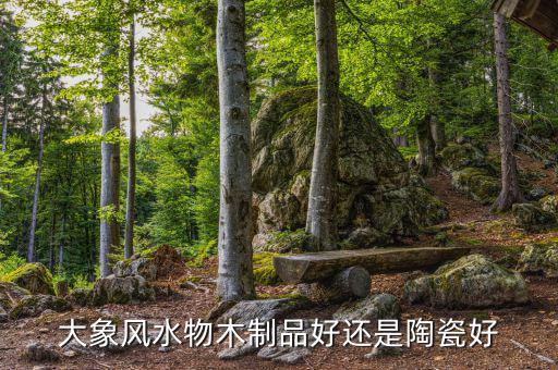 為什么大象屬金，生肖屬象所屬五行何謂