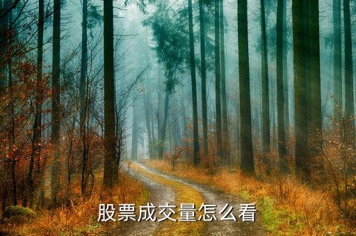 價(jià)升量增怎么看,股價(jià)漲幅有限可追加買(mǎi)入