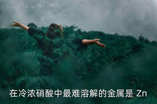 什么金屬易融難化，最不容易融化的金屬是什么想對來說便宜一點(diǎn)的是什么