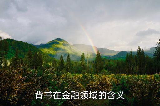 什么是投資背書，什么是背書金融術(shù)語(yǔ)
