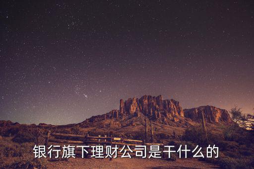 理財(cái)公司經(jīng)主要做什么，理財(cái)經(jīng)理是一般做什么