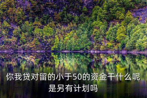 你我貸為什么我要投2萬(wàn)才能減50，你我貸對(duì)留的小于50的資金干什么呢是另有計(jì)劃嗎