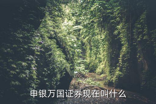 申銀萬國并什么證券公司了，申銀萬國證券現(xiàn)在叫什么