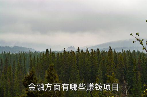 金融里什么賺錢，金融方面有哪些賺錢項目