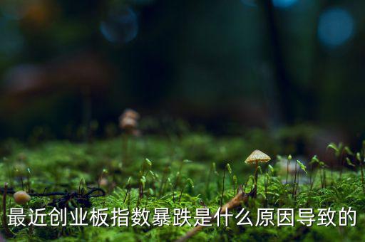 2014創(chuàng)業(yè)板指數(shù)為什么會下跌，為什么股指大幅下跌2014