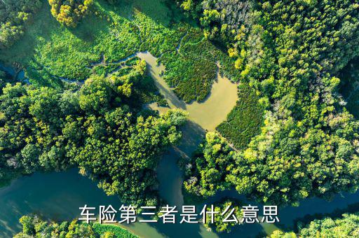 車險(xiǎn)第三者什么意思，車險(xiǎn)第三者是什么意思