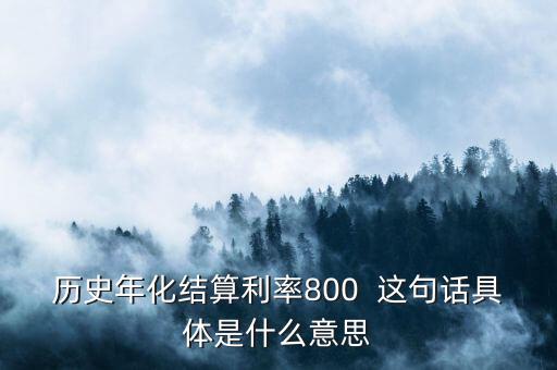 年化結(jié)算利率是什么，歷史年化結(jié)算利率800  這句話具體是什么意思