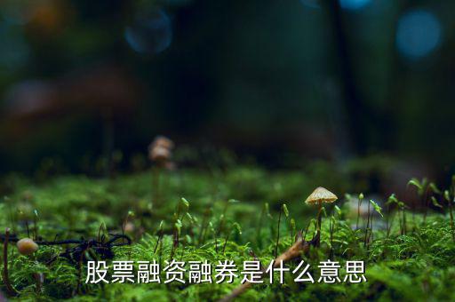 什么是融資融券業(yè)務，融資融券業(yè)務是指證券公司向客戶出借資金供其買入證券或者出借