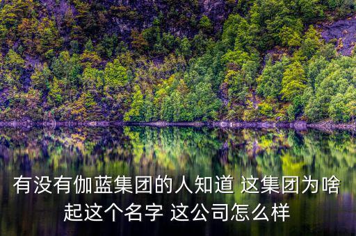 伽藍集團為什么不上市，伽藍集團是一家什么企業(yè)