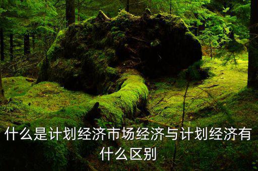 什么是市場經(jīng)濟(jì)和計劃經(jīng)濟(jì)，什么叫市場經(jīng)濟(jì)