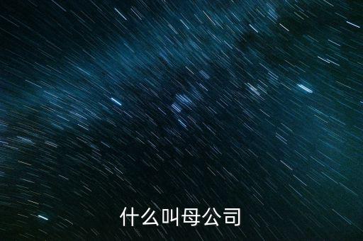 財(cái)務(wù)報(bào)告中母公司是什么意思，財(cái)務(wù)報(bào)表中的合并與母公司是什么意思