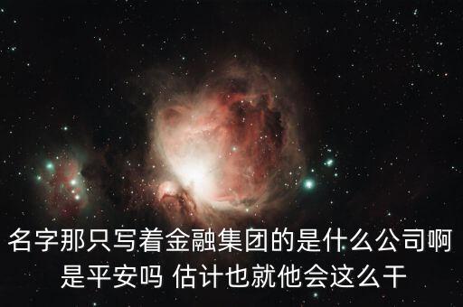 中生金控屬什么企業(yè)，我國(guó)四大金融控股公司是什么