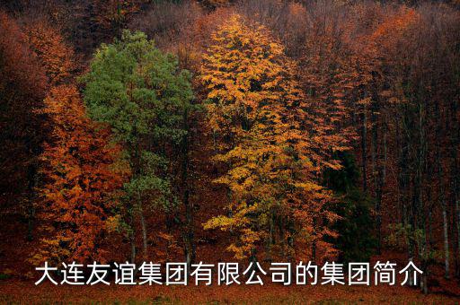 大連友誼集團(tuán)有限公司的集團(tuán)簡介