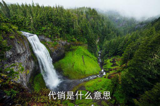 什么是代銷公司，什么叫做代銷啊有沒有拿到顧客的錢再付款的比較好的代銷公司