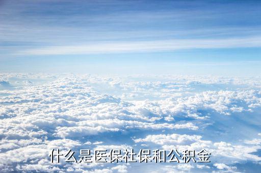工資社保公積金是什么，什么意思啊誰能給我講講社保和公積金什么意思