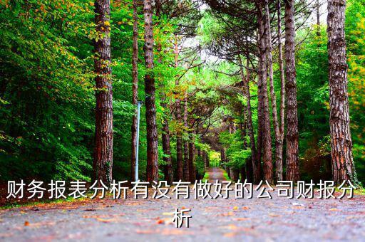 初學(xué)者財(cái)務(wù)分析分析什么公司，投資公司財(cái)務(wù)分析范文