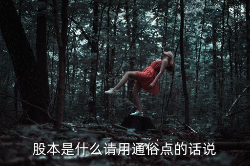 股本是什么請(qǐng)用通俗點(diǎn)的話說
