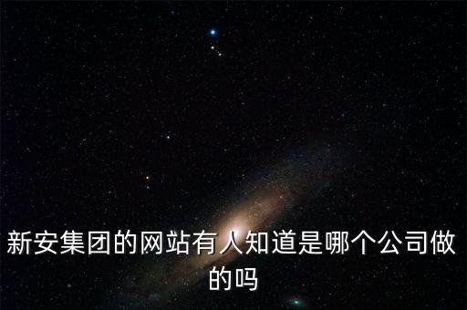 新安股份做什么的，新安集團的網(wǎng)站有人知道是哪個公司做的嗎