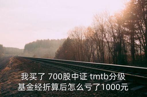 tmtb基金是什么股票，我買了 700股中證 tmtb分級基金經(jīng)折算后怎么虧了1000元