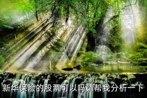 新華保險(xiǎn)為什么股票漲這么多，新華保險(xiǎn)的股票可以嗎請(qǐng)幫我分析一下