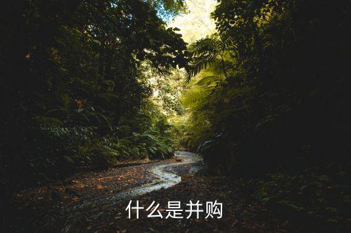 什么叫并購(gòu)，什么是并購(gòu)