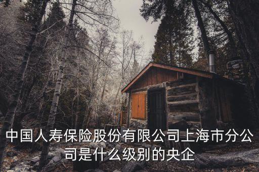 市屬國企是什么級別，省屬和市屬企業(yè)的界定標(biāo)準(zhǔn)是什么