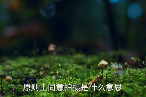 原則上同意是什么意思，原則上同意是什么意思