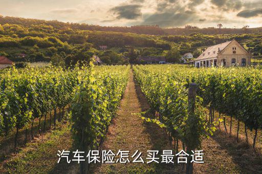 車(chē)險(xiǎn)應(yīng)該怎么保,3.車(chē)輛人員責(zé)任險(xiǎn)是車(chē)輛商業(yè)保險(xiǎn)主要險(xiǎn)種