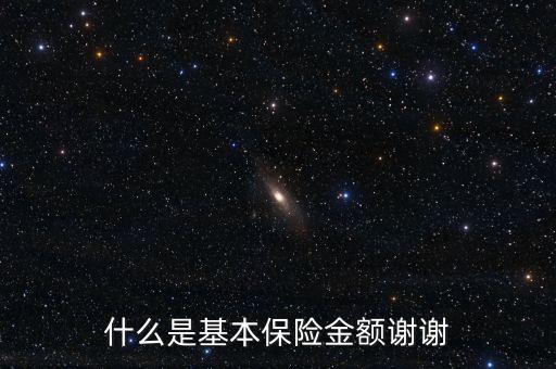 什么叫基本保險(xiǎn)金額，基本保險(xiǎn)金額是什么意思