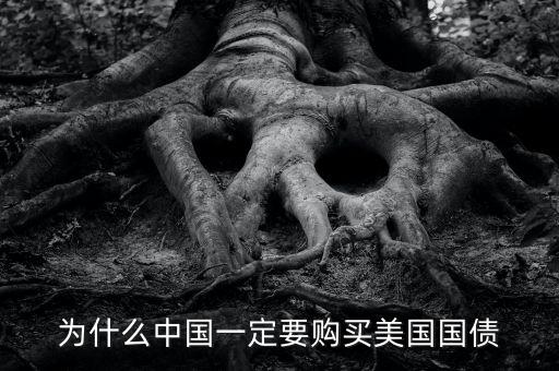 中國(guó)為什么買(mǎi)美國(guó)的國(guó)債，中國(guó)為什么要買(mǎi)那么多美國(guó)國(guó)債能不能說(shuō)得通俗一點(diǎn)我不太懂經(jīng)濟(jì)