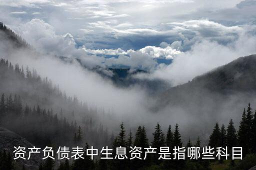 什么是生息負債，什么是速動資產(chǎn)流動負債和生息債務