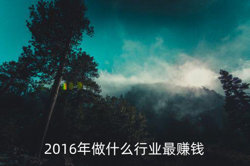2016賺錢的行業(yè)是什么，2016年做什么行業(yè)最賺錢