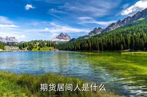 期貨居間人干什么的，期貨居間人是什么