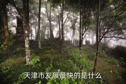 天津靠什么發(fā)展，天津市發(fā)展最快的是什么