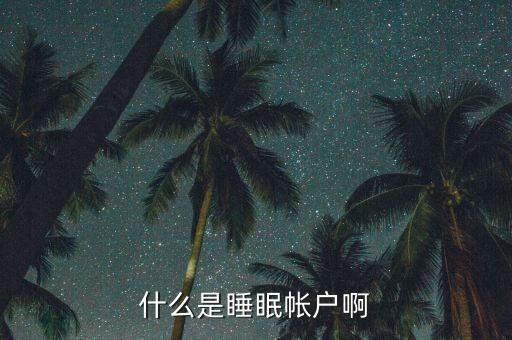 什么是睡眠賬戶，什么是睡眠帳戶啊