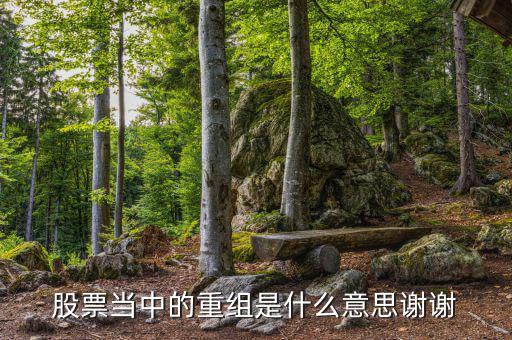 什么是重組，重組在電腦術(shù)語中什么意思