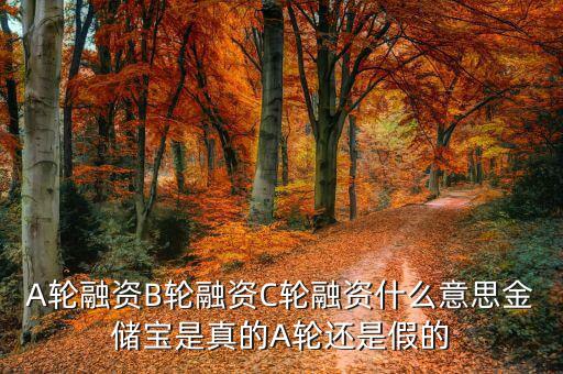 幾輪融資是什么意思，A輪融資B輪融資是什么意思