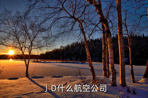 dal是什么航空公司，dl是哪個(gè)航空公司