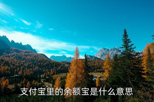 支付寶余額寶是什么，支付寶里的余額寶是什么意思