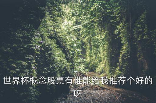 世界杯什么股票好，世界杯概念股票有誰(shuí)能給我推薦個(gè)好的呀