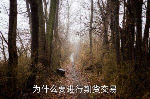 為什么國內(nèi)期貨，為什么要做期貨投資