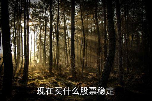 買什么股票比較穩(wěn)妥，現(xiàn)在買什么股票穩(wěn)定