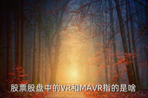vr股是什么，股票股盤中的VR和MAVR指的是啥