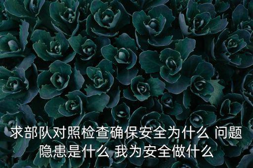 求部隊(duì)對照檢查確保安全為什么 問題隱患是什么 我為安全做什么