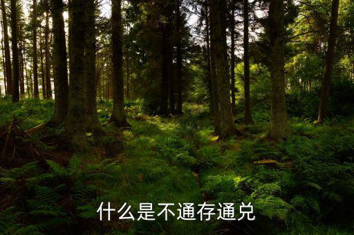 不通存通兌是什么意思，什么是不通存通兌